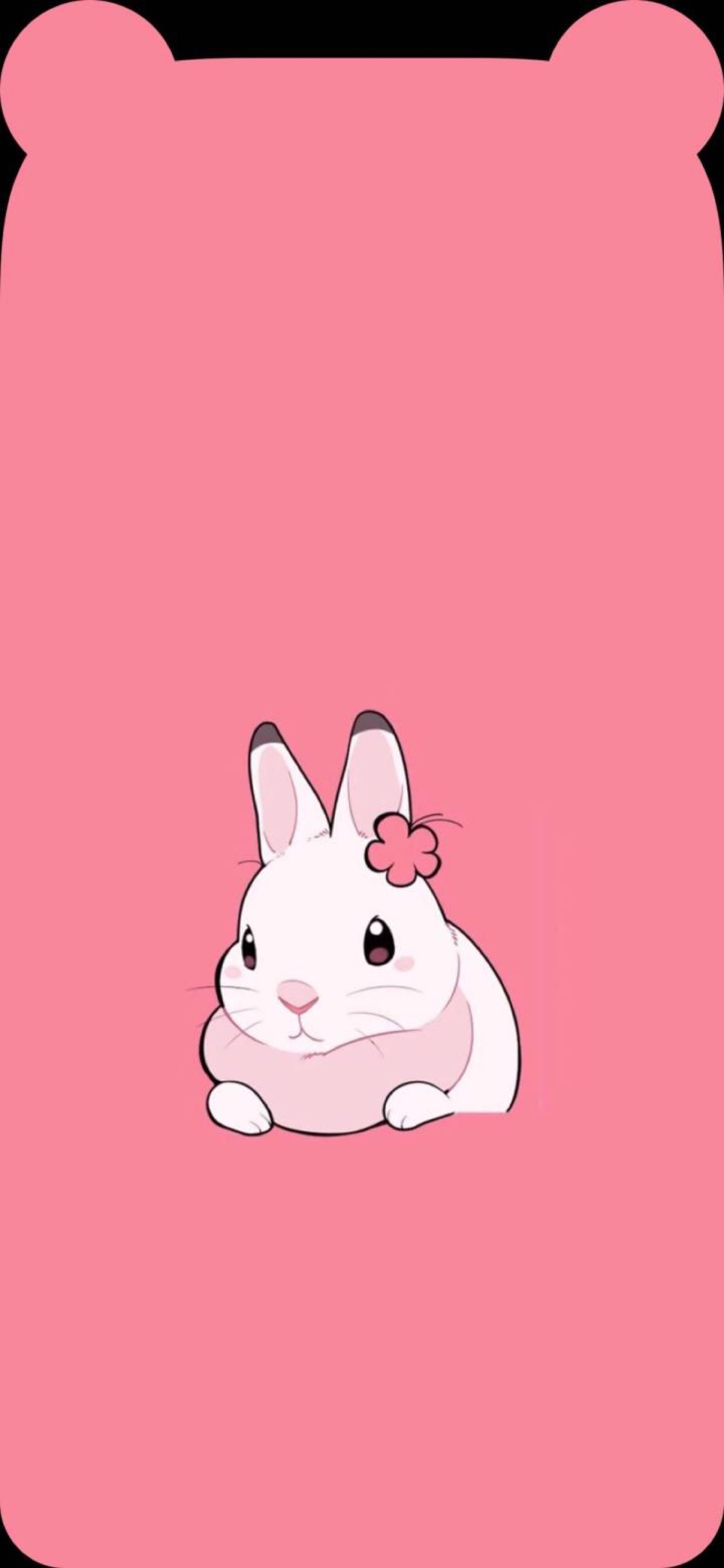 兔耳朵壁纸iphonex图片