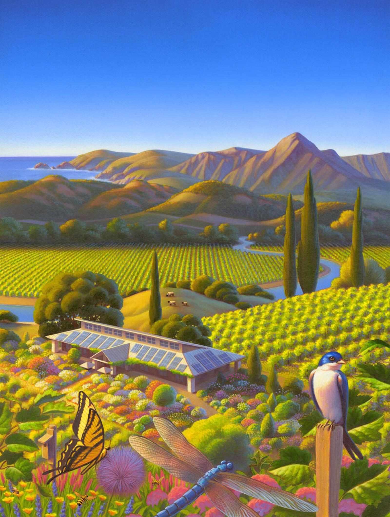 【robin moline】童话般的小镇