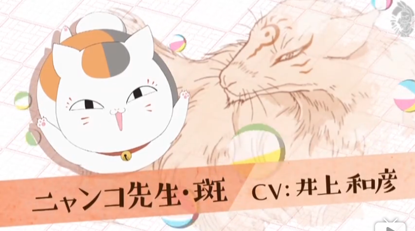 猫咪老师