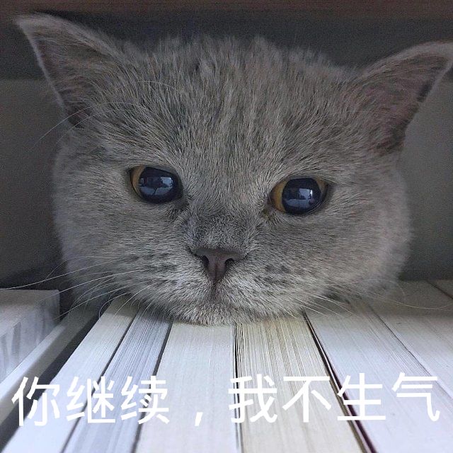 表情包 转自b站