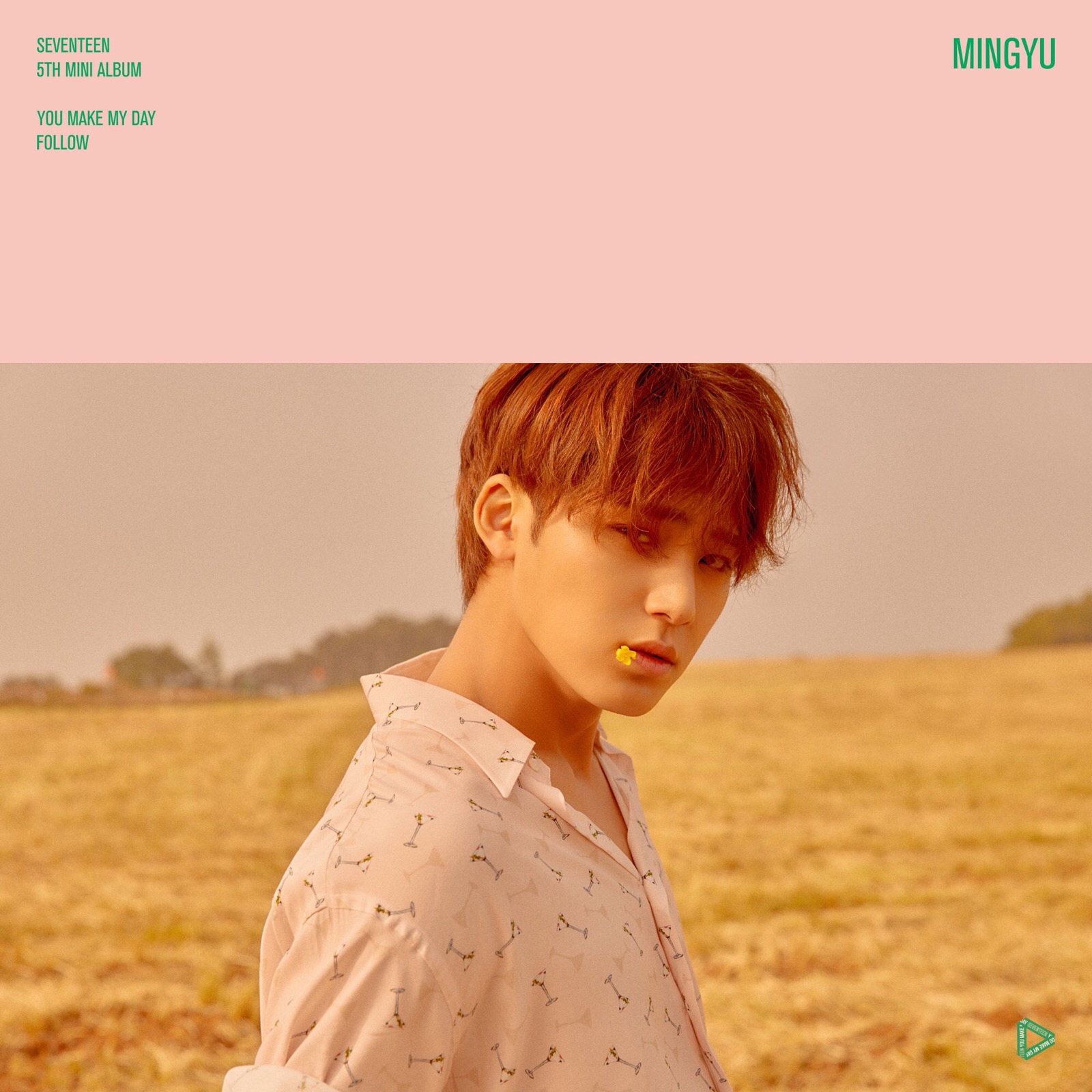 致全世界最好的十七仔