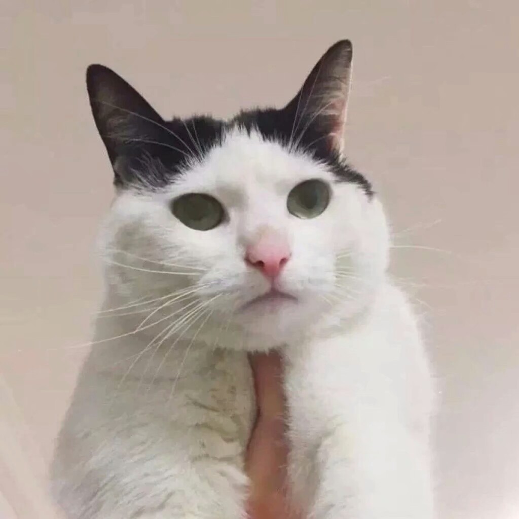 动物情头