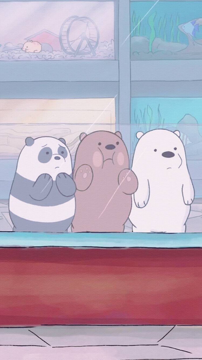 熊熊遇见你