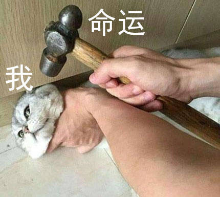 半斤八两的真正含义#就是我了!悲伤辣么大!