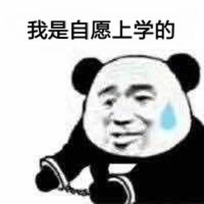 沙雕熊猫头