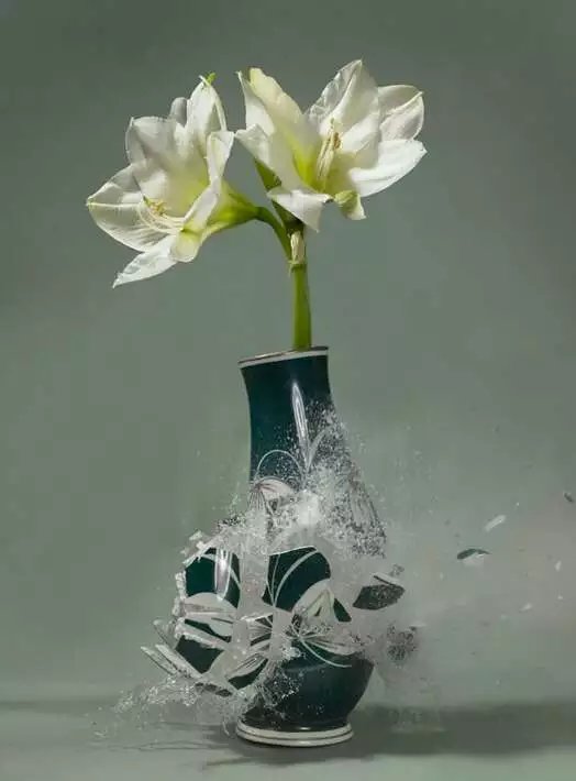 天网一只碎花瓶图片