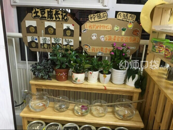植物角 