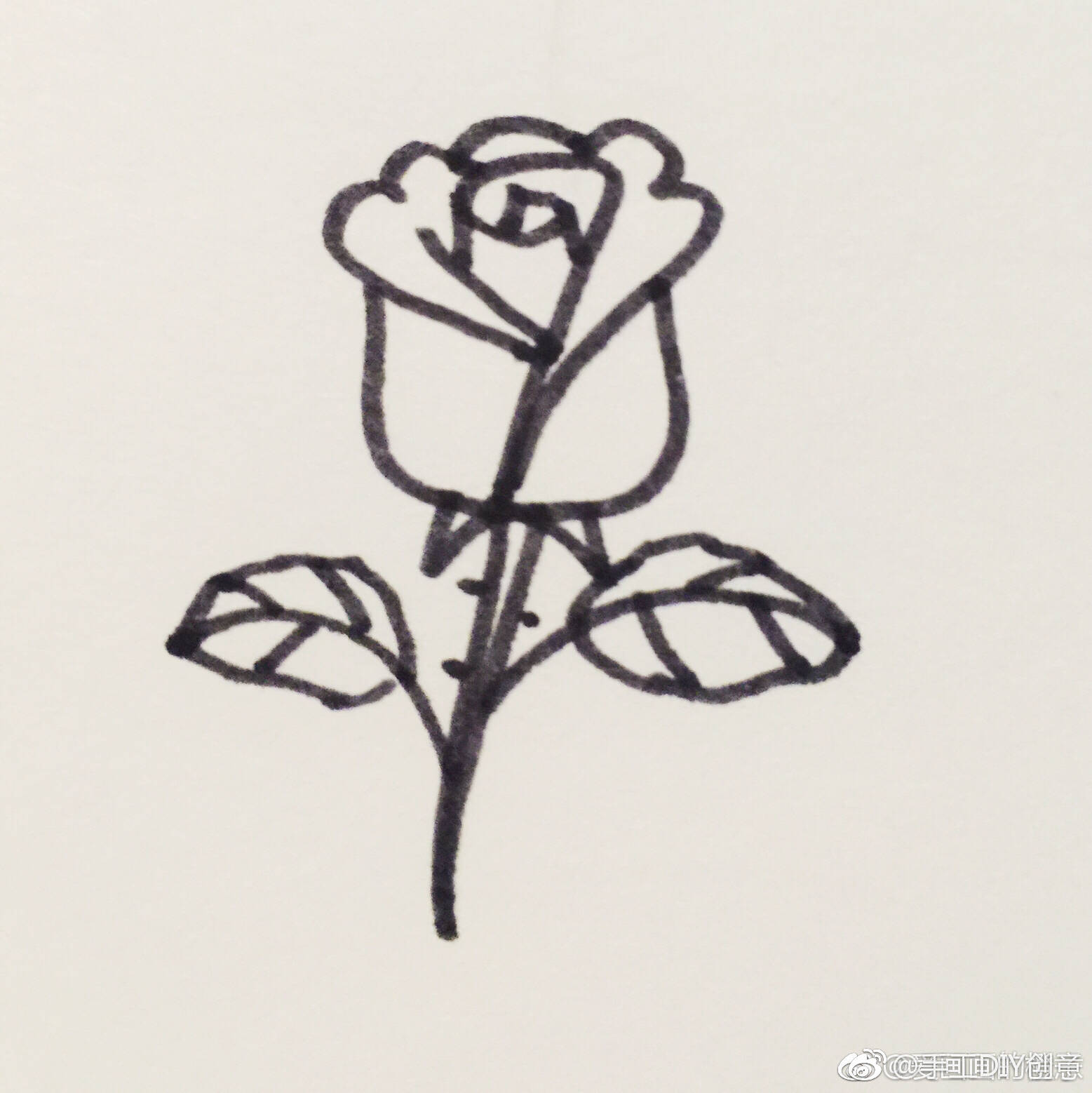 盛开玫瑰花的画法图片