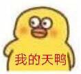 鸭鸭表情