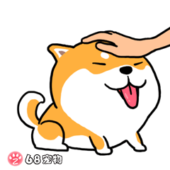 68宠物app微信qq搞笑萌宠物动态表情:摸摸