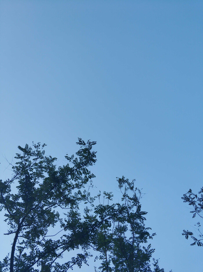 风景日常-堆糖,美好生活研究所
