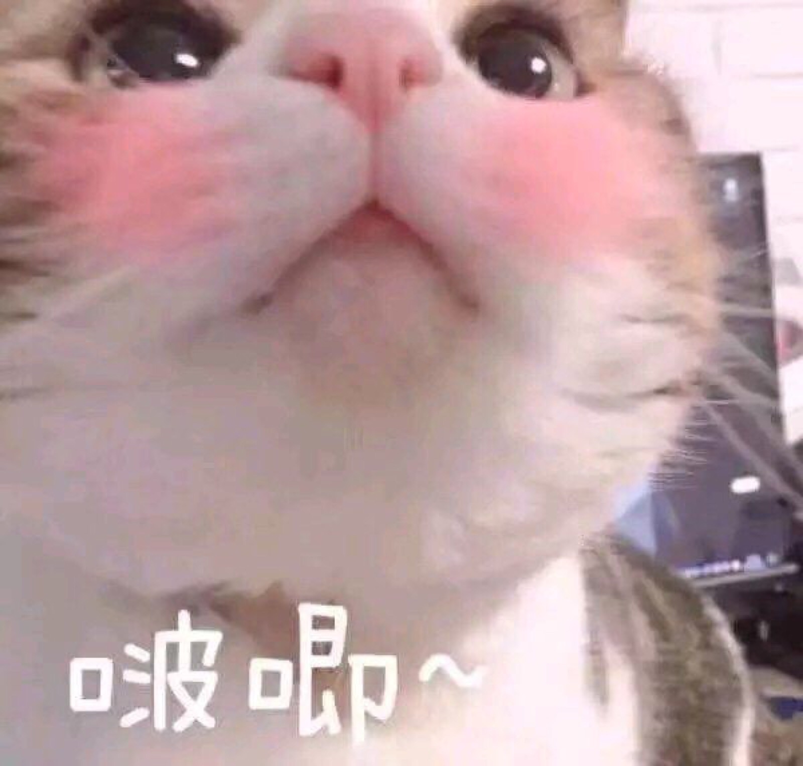 撒娇专用表情包啦