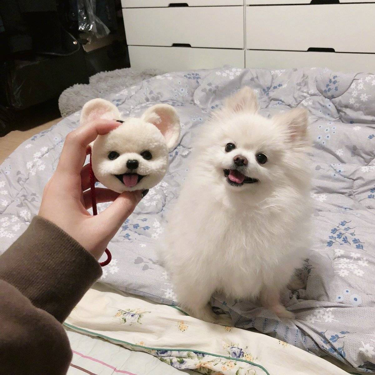 羊毛毡狗狗
