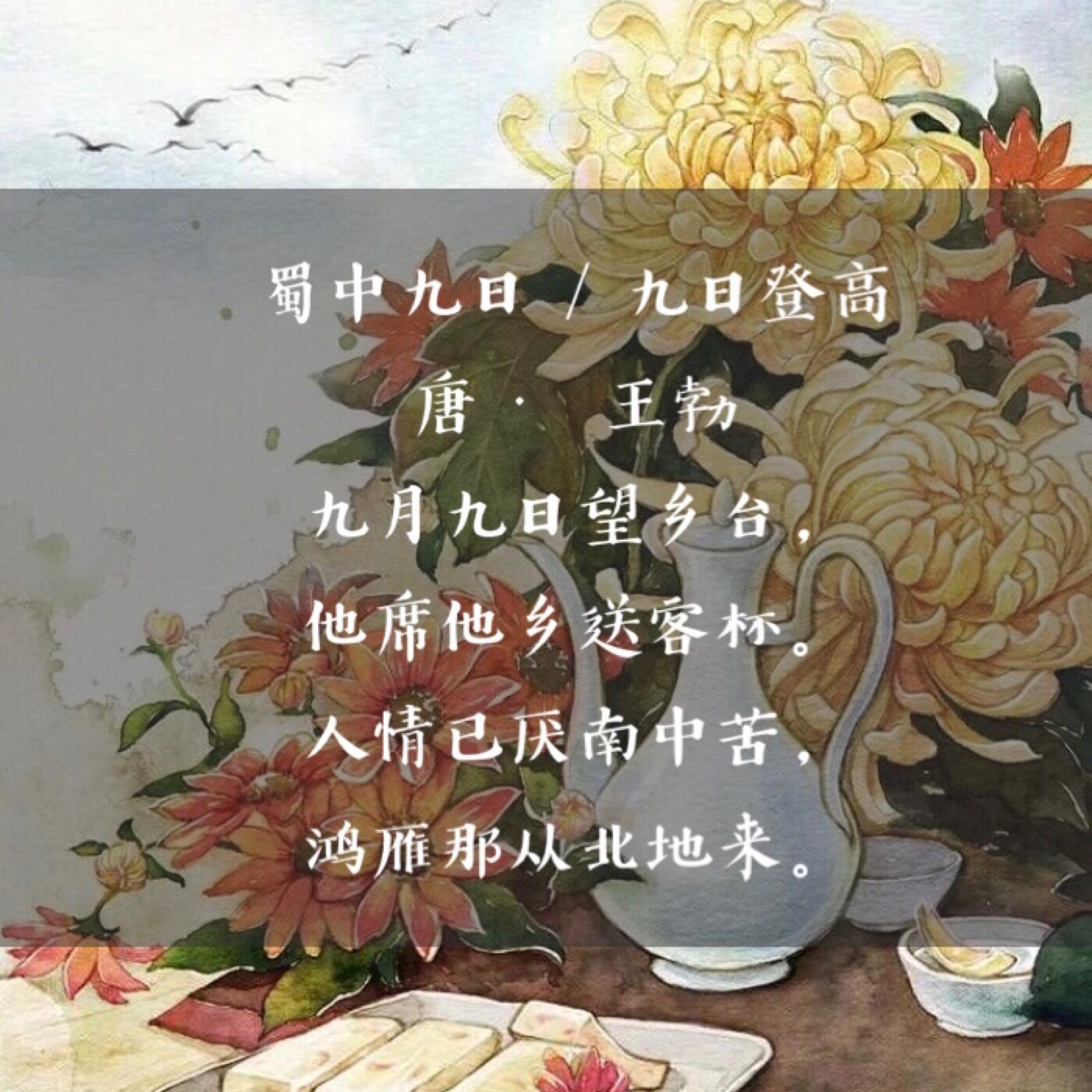 重阳诗句(背景图片来自网络 侵删 抱歉)