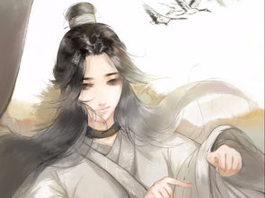 谢怜花城