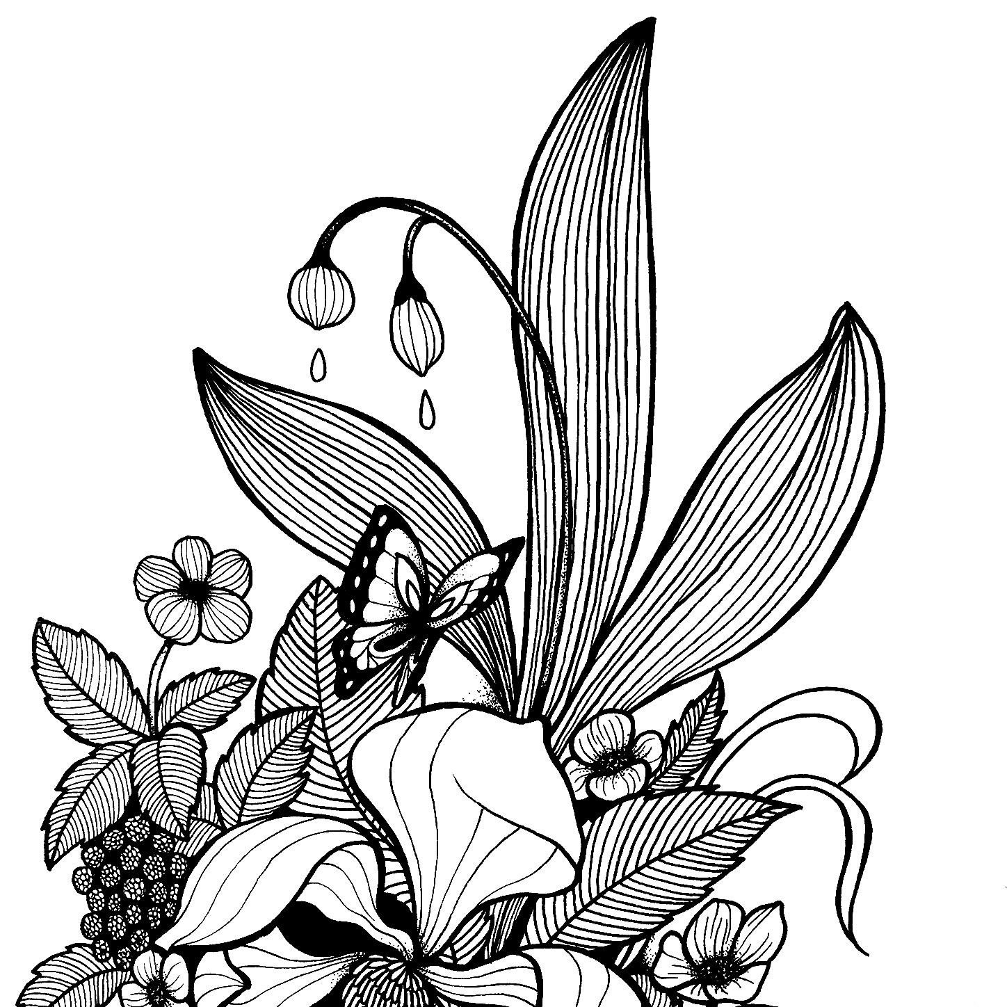 花儿与树叶线描简笔画 ~ (作者: 会画画的云 )图片