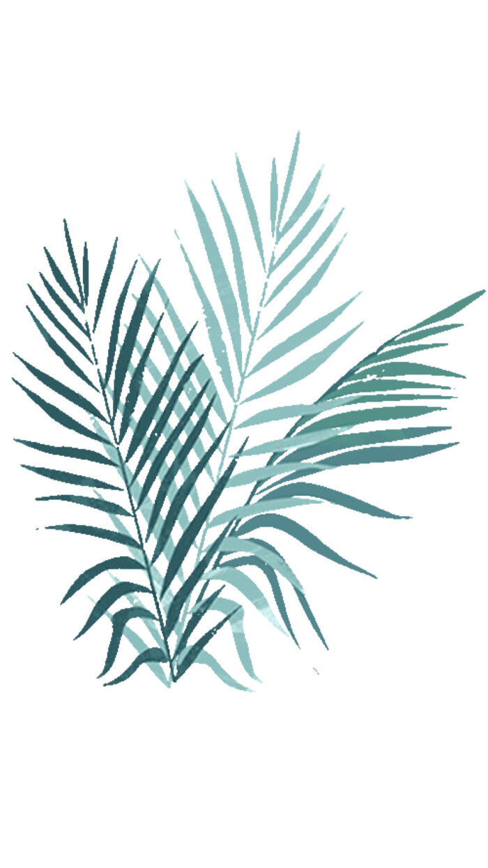叶子,leaf