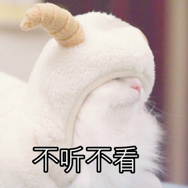 猫表情包可爱萌表情包