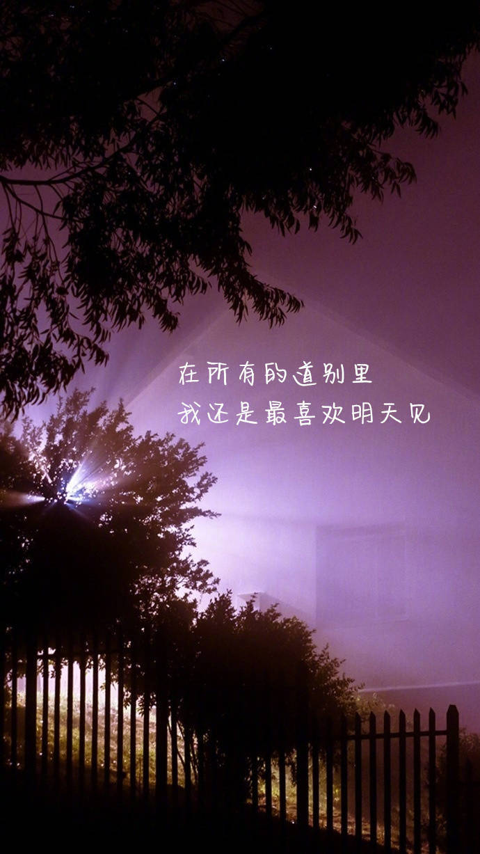 开始,你是个姓名; at first, you are a name; 后来,你是个背影