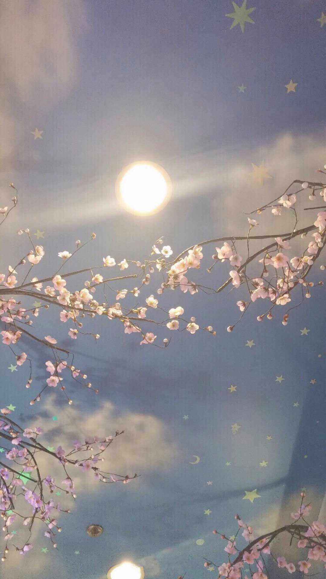 【壁纸】平铺/图片/壁纸/文艺/清新/简约风/锁屏壁纸/壁纸/手机壁纸