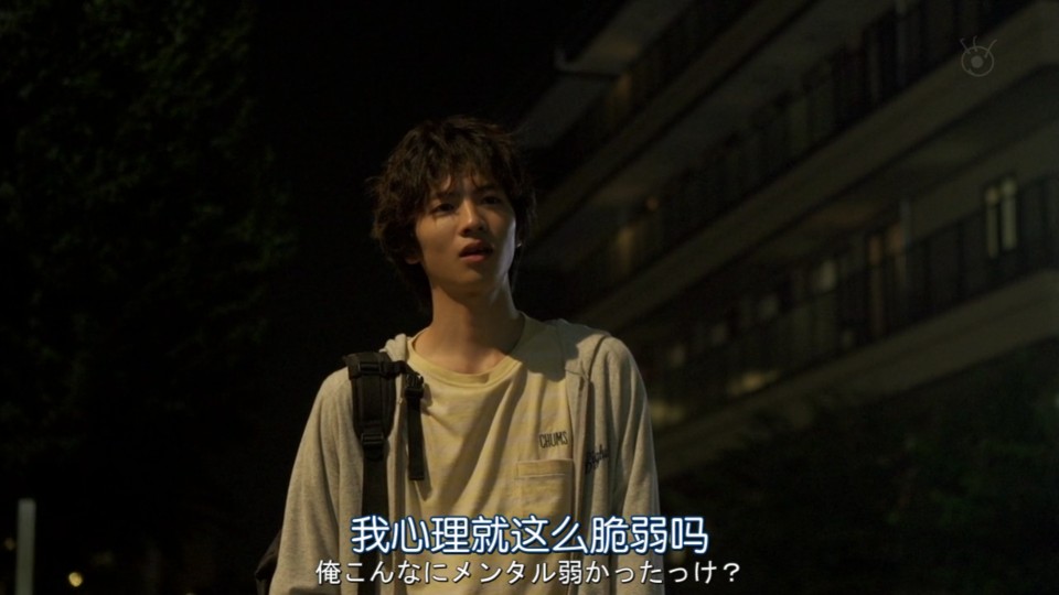宠物情人