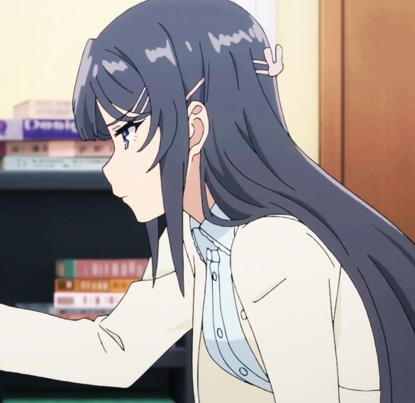青春猪头少年不会梦到兔女郎学姐
