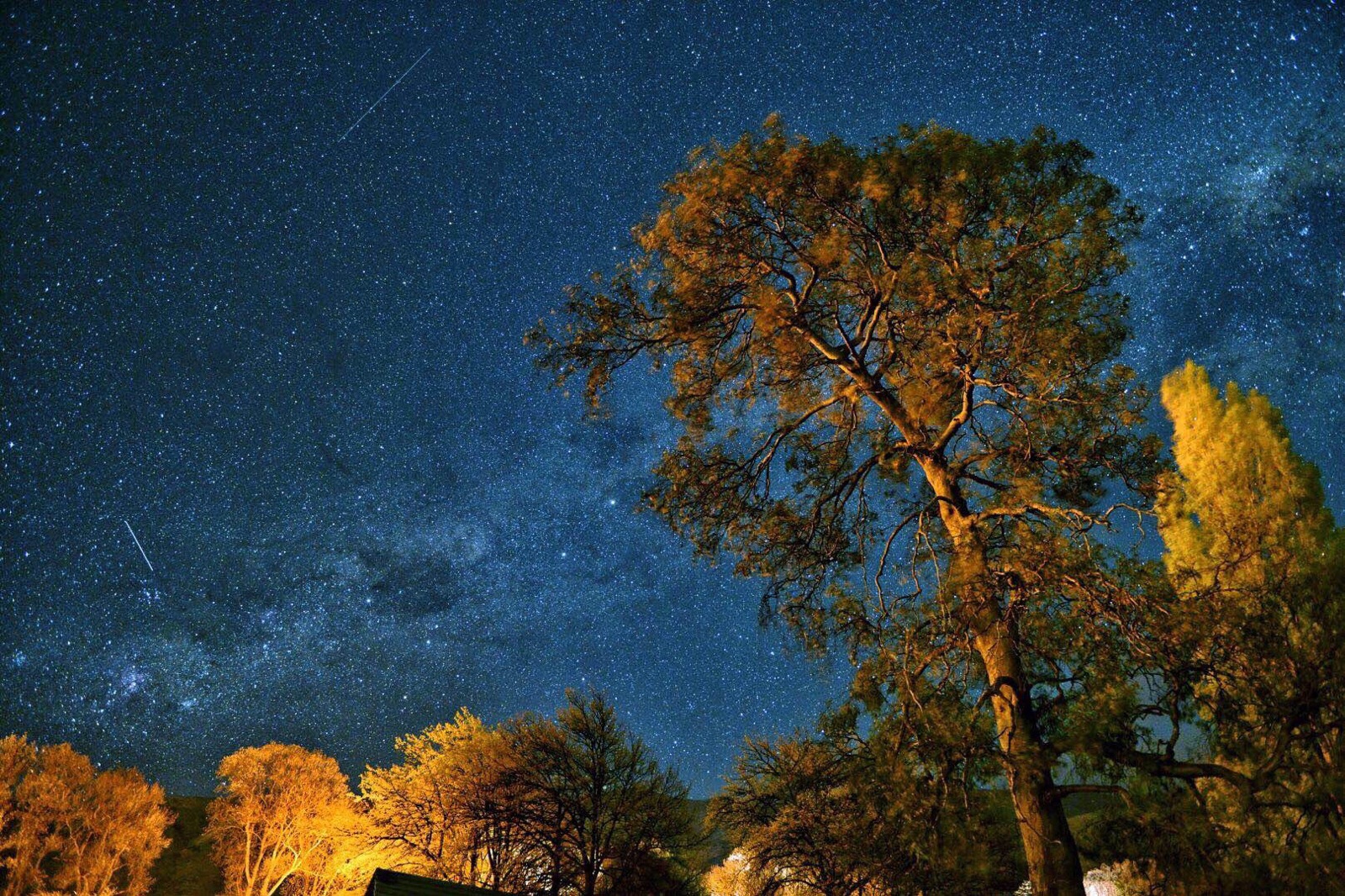 从你的全世界路过:晚安星月