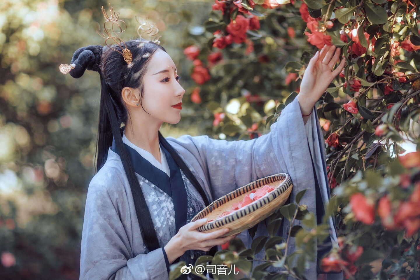 司音儿