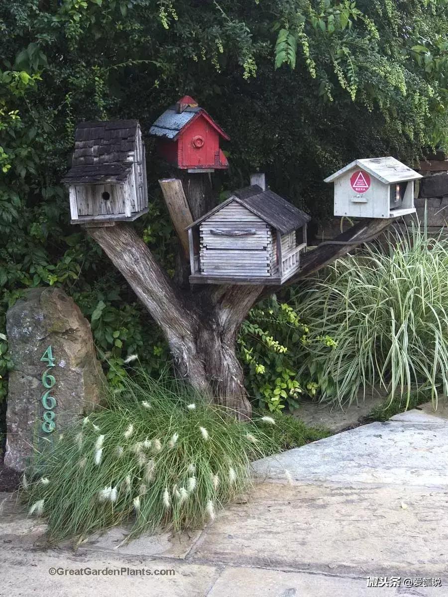 鸟之家户外庄园图片