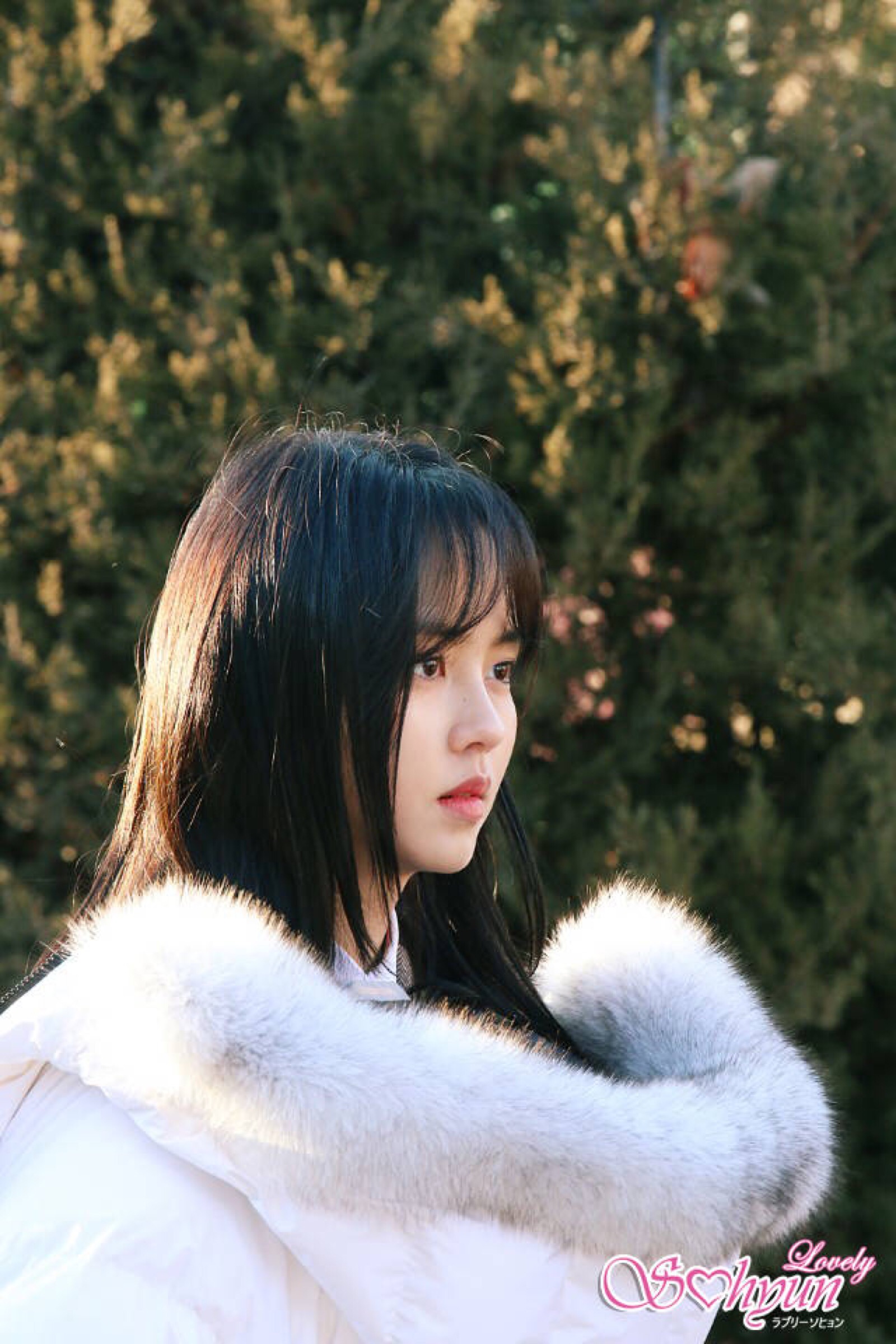 金所炫-堆糖,美好生活研究所