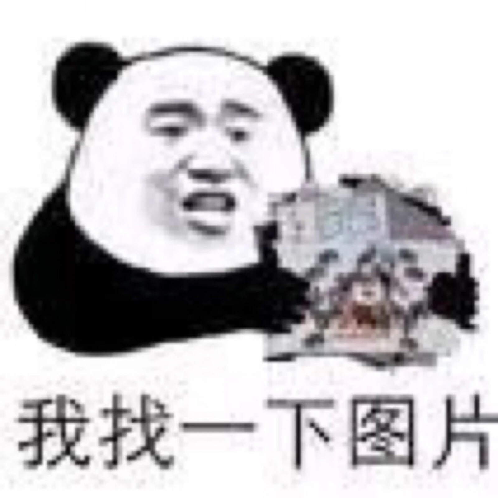 van样的兔眼神流泪柴犬我找一下图片说不出话郑重鼓掌表情包