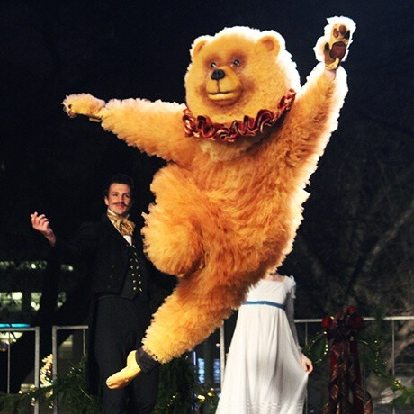 波士顿芭蕾舞团的熊