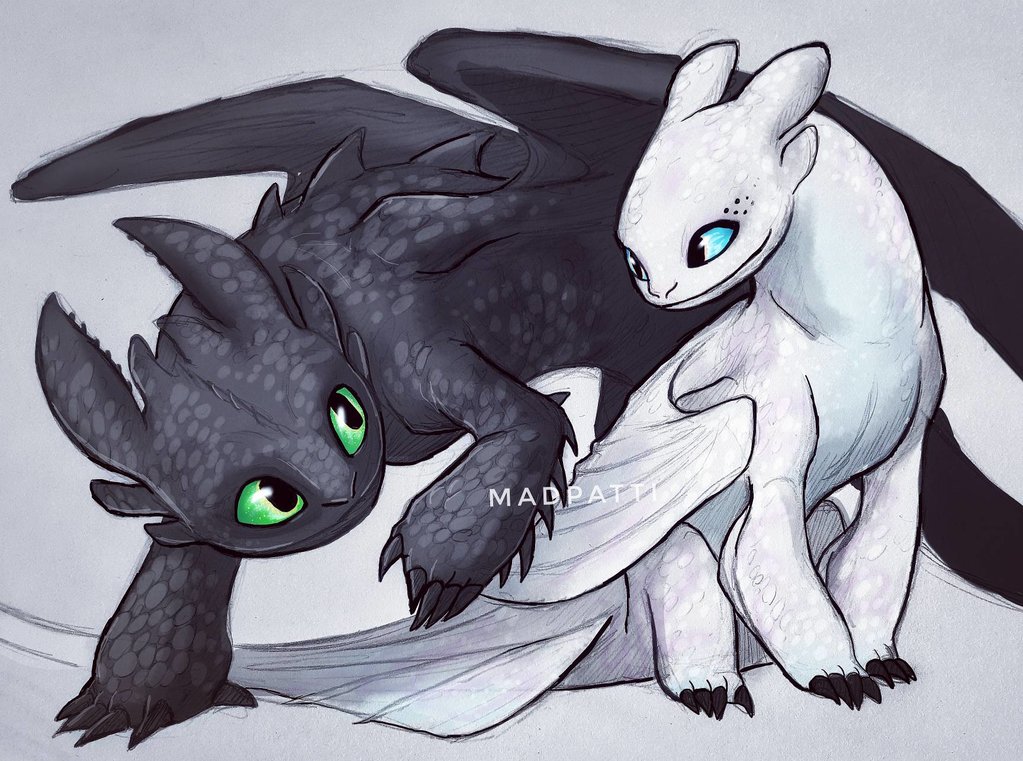 toothless and the light fury by madpattii