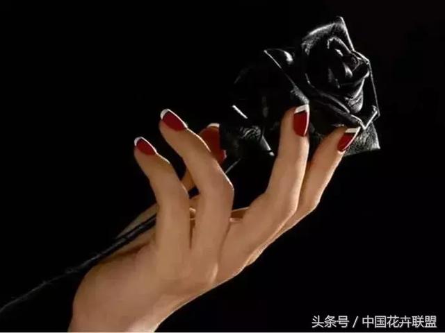 「每日一花」黑玫瑰