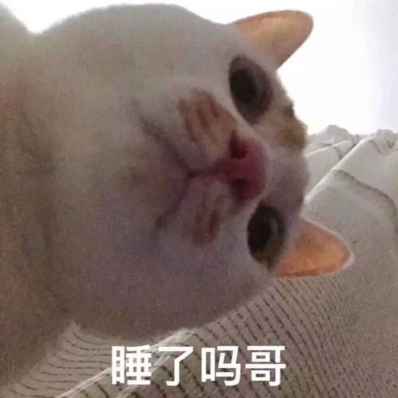 天气真好想抱着你睡午觉 `° *.:*