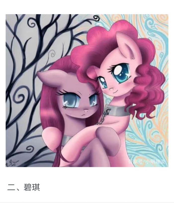 小马宝莉小马国女孩