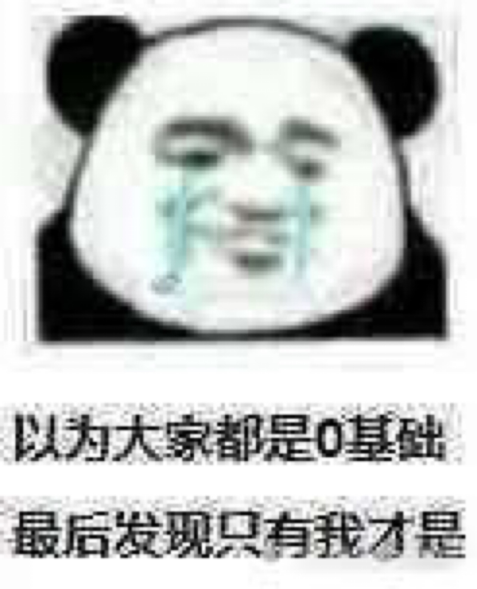 以为大家都是0基础,最后发现只有我才是