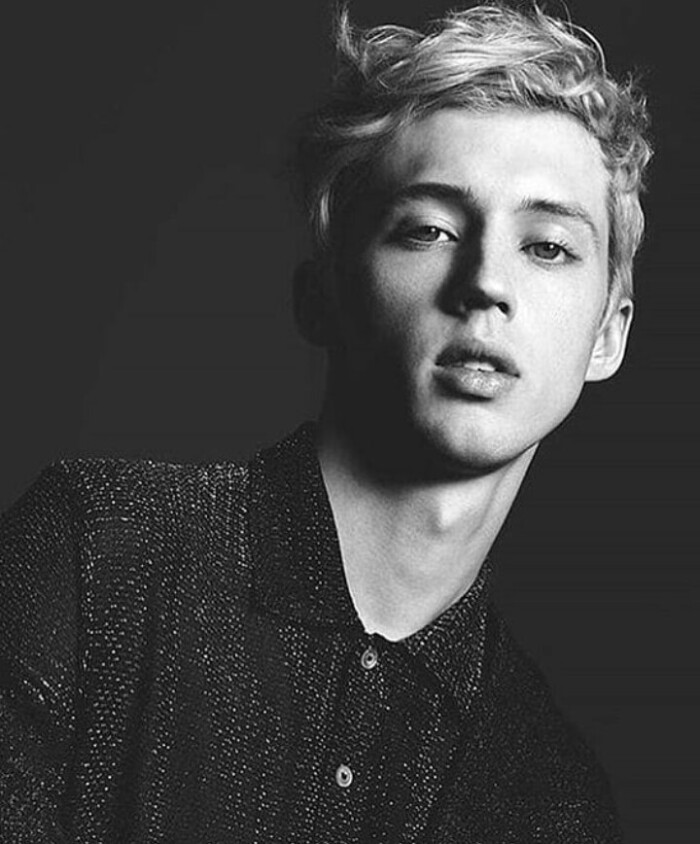 戳爷troye sivan 特洛耶希文 自截 ins 来源外网 [杨晋戈]