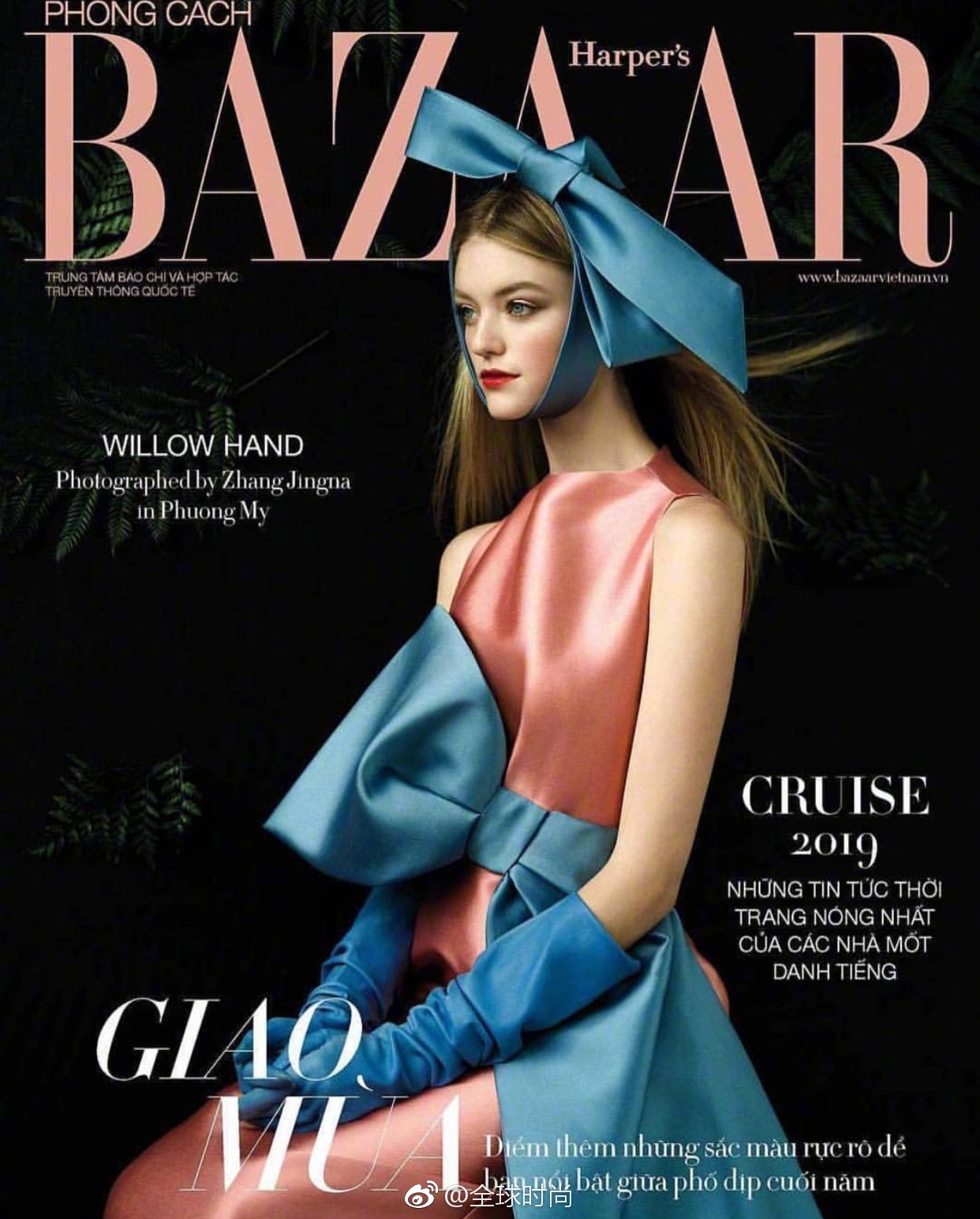 时尚明星#willow hand# &《harpersbazaar》越南版封面,长着一张