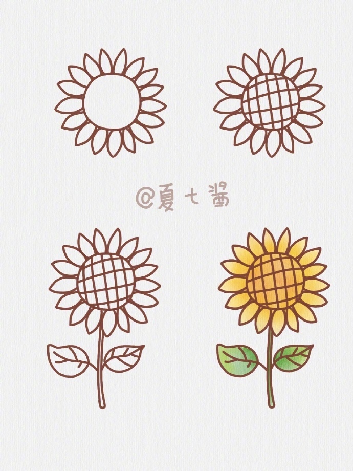 向日葵的9种画法作者:夏七酱