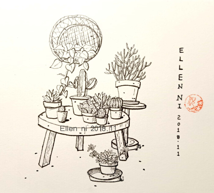 植物组合线稿
