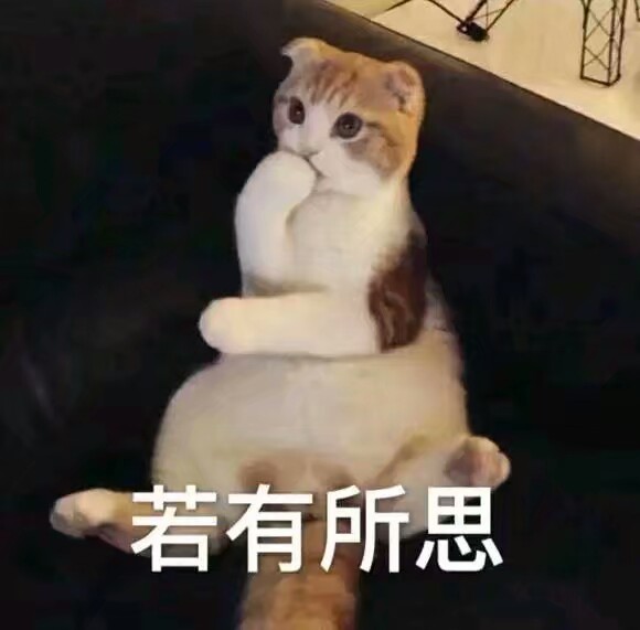 喵喵表情包