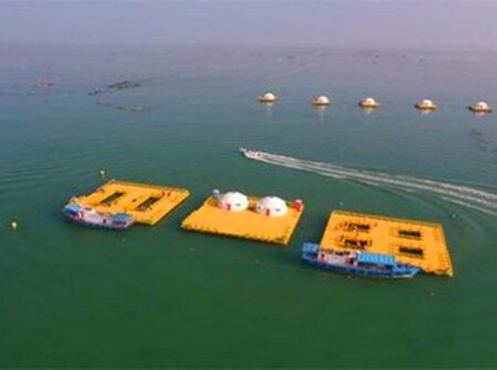 爱伦湾海洋牧场