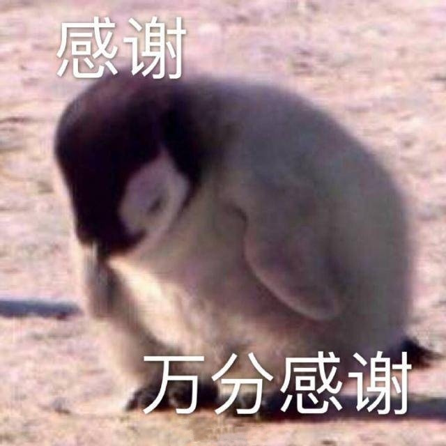 我!来!啦!今日份表情表情派送!【下周…-堆糖大全宠萌动态沙雕图片包图片