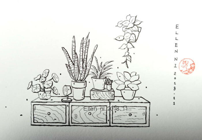 植物角简笔画 卡通图片