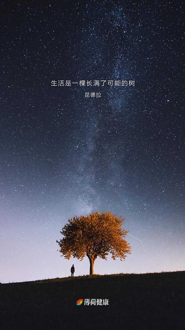 壁纸 唯美 励志