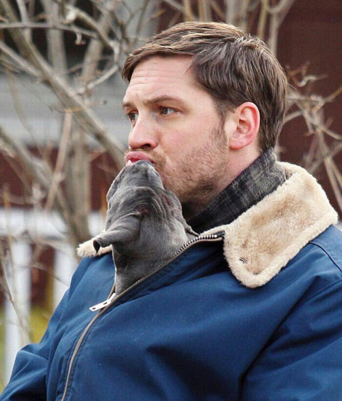 tom hardy 汤姆哈迪 汤甜