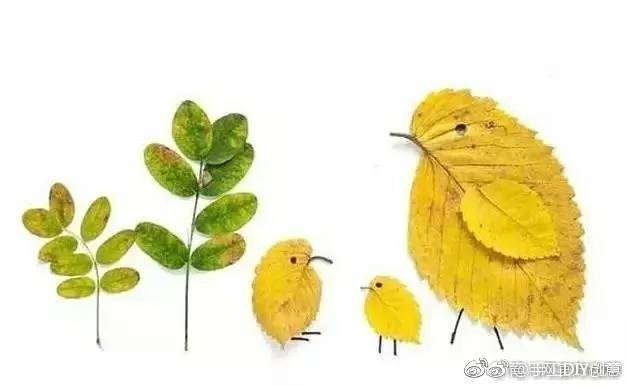 枫叶红了,银杏黄了,叶子落了,树叶贴画作业也来了!