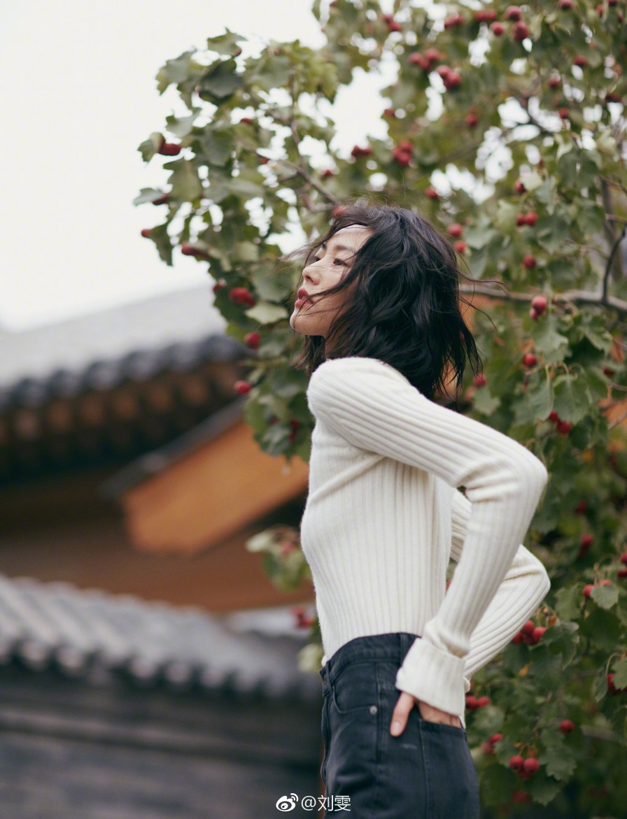 大表姐 刘雯 壁纸