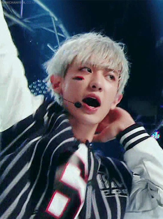 exo 朴灿烈